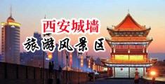 风骚淫妇挑战黑人,中国陕西-西安城墙旅游风景区